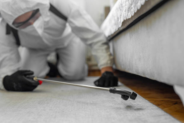 Professional Bed Bug Control technician working in Shelby, MT