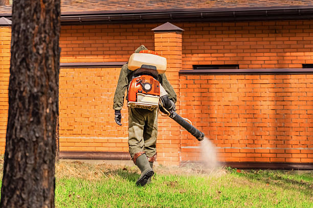 Trusted Ant Control service in Shelby, MT - Nex Pest Control